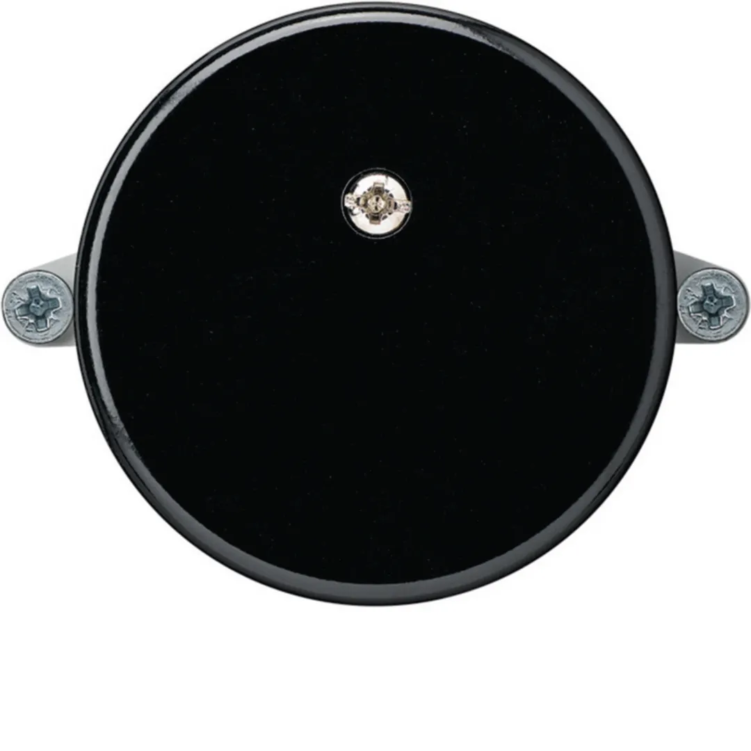 WH11920305A - basico: Obturateur d = 43mm à vis 2pts. traverse / pour combinaison Noir