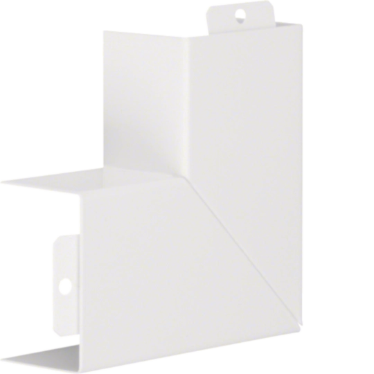 R25559010 - Flachwinkel schnittkaschierend Stahl zu LFS 40x60mm reinweiß