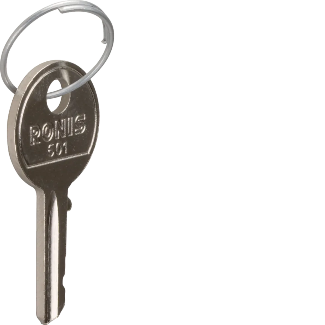 SK001 - 2 Schlüssel f.Schlüsselschalter,Ersatzteil