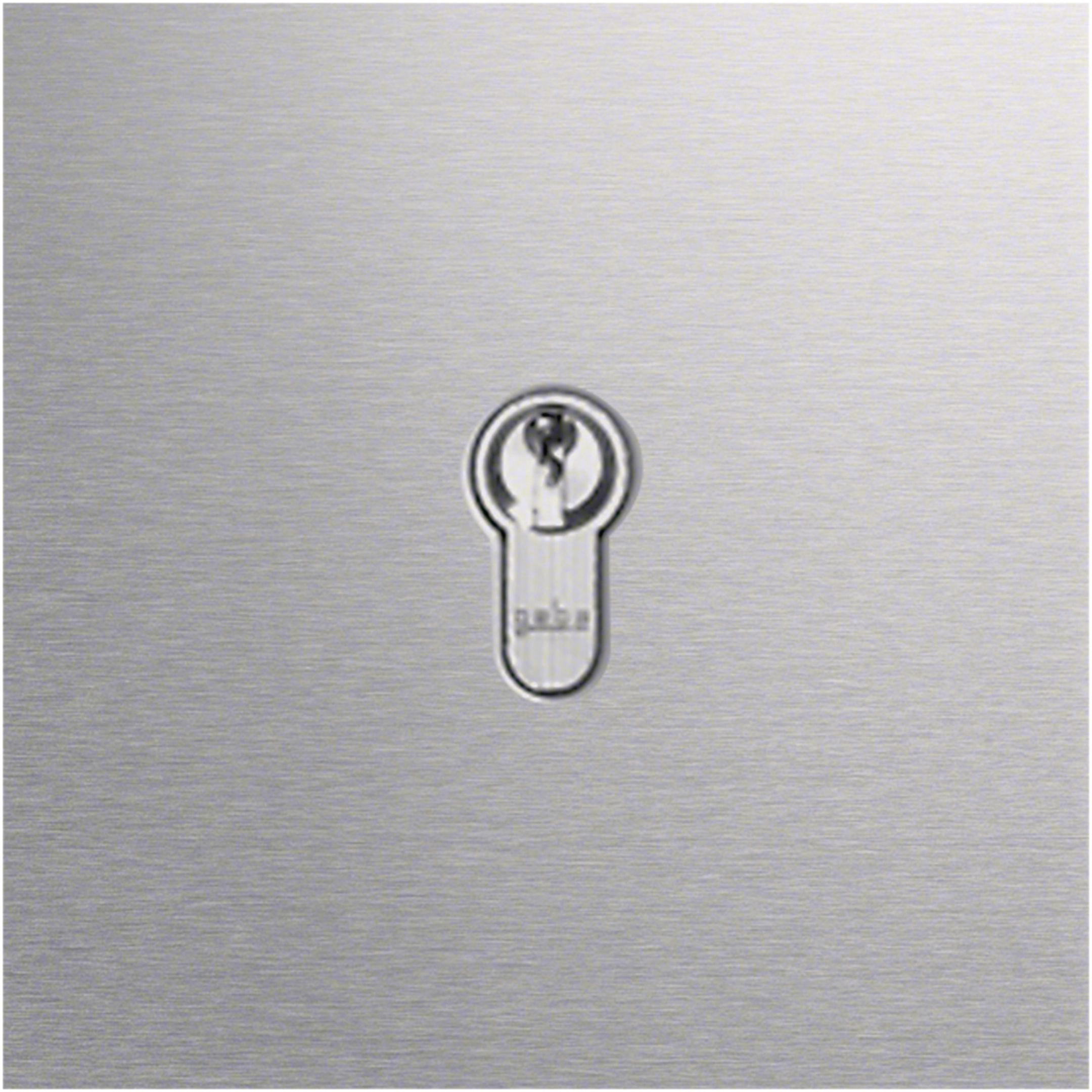 KSM-100 Schlüsseltaster Modul EB Edelstahl matt MODESTA