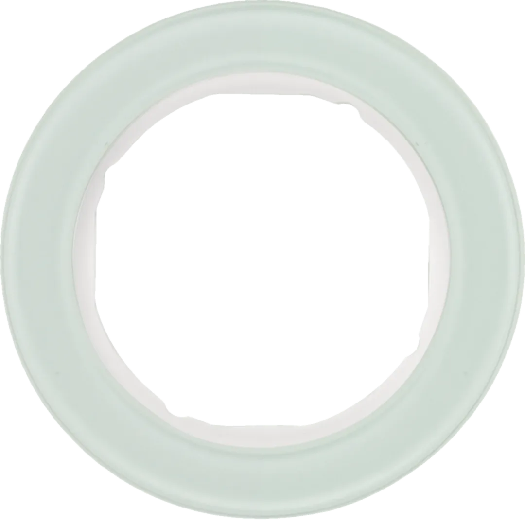 10112009 - Plaque de recouvrement 1 poste, Serie R.classic, blanc polaire
