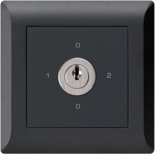 WH25184505C - UP-Drehschalter kallysto.line 2/1L schwarz mit Schloss Kaba 8