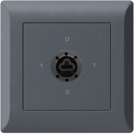 WH25186204C - UP-Drehschalter kallysto.line 0/2L an für Sicherheitsschloss ohne Zylinder