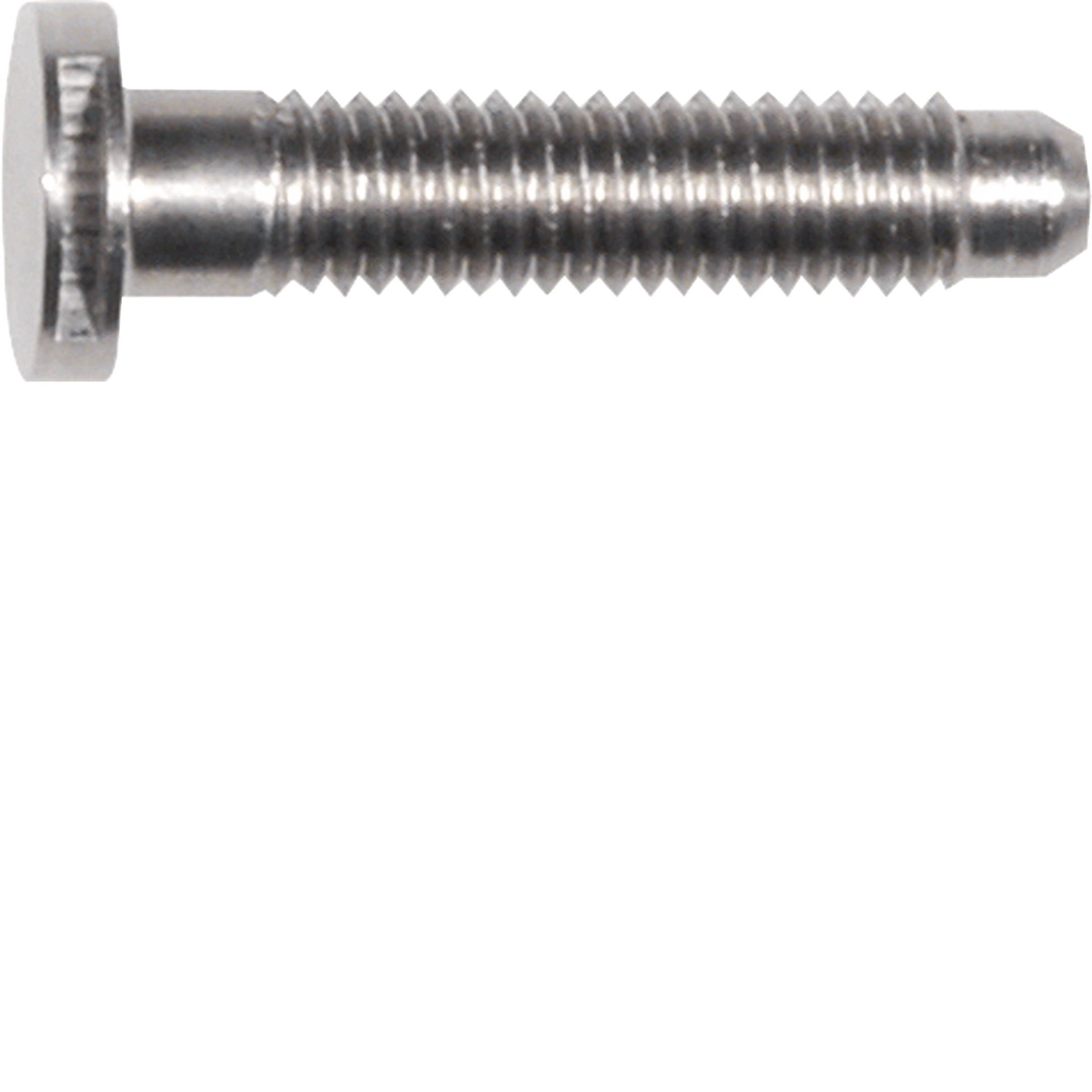REH107X - Ersatzteil Schraube Spezial ZY SW6 edelstahl matt M5x25