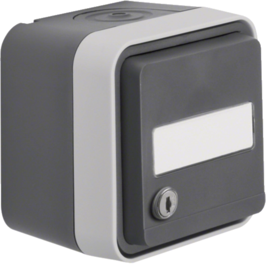 47893505 - W.1 Gniazdo SCHUKO 2P+Z na klucz, p. opis., równe zamki, kompletne, IP55, szary