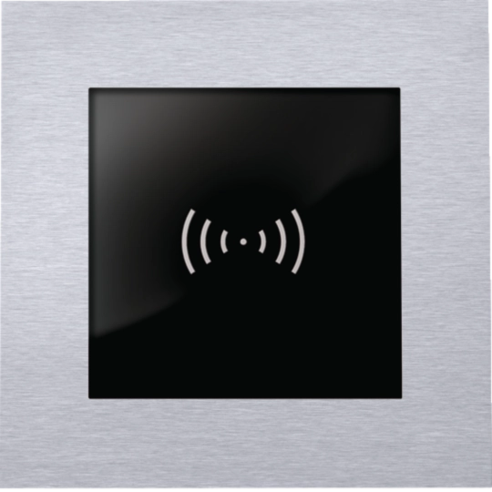 REN234X - Modul, leer, 76x76 mit Halteplatte für Kartenlesereinbau, Edelstahl modesta/modu