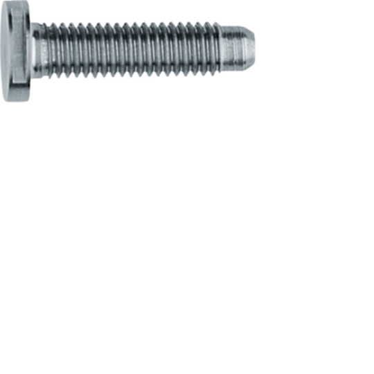 REH122Y - Schraube Spezial ZY M5x25 Edelstahl