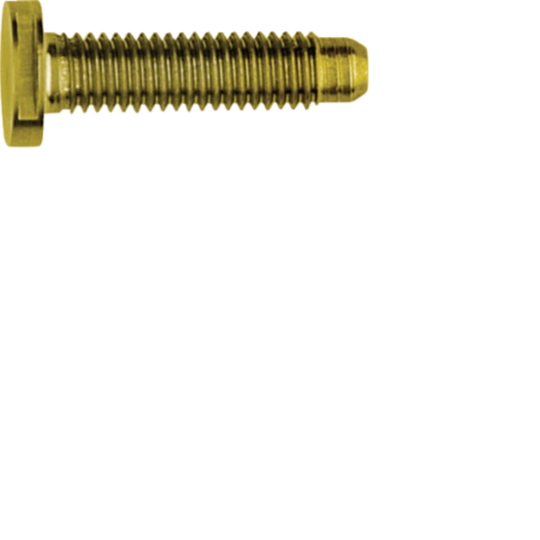 REH123Y - Schraube Spezial ZY M5x25 PVD Messing