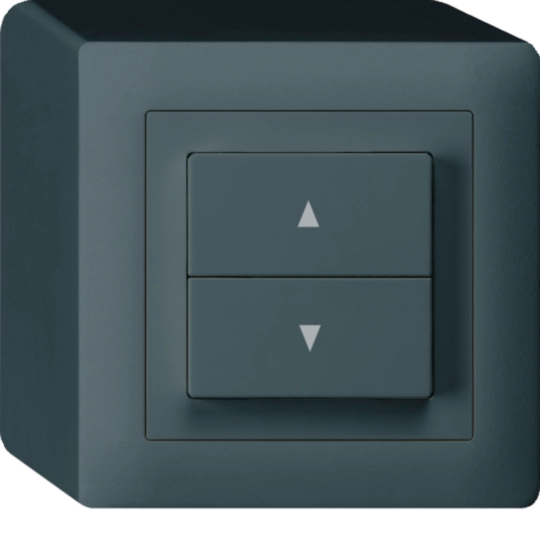 WH23191304Q - Interrupteur pour stores AP kallysto 2 touches anthracite bornes enfichables