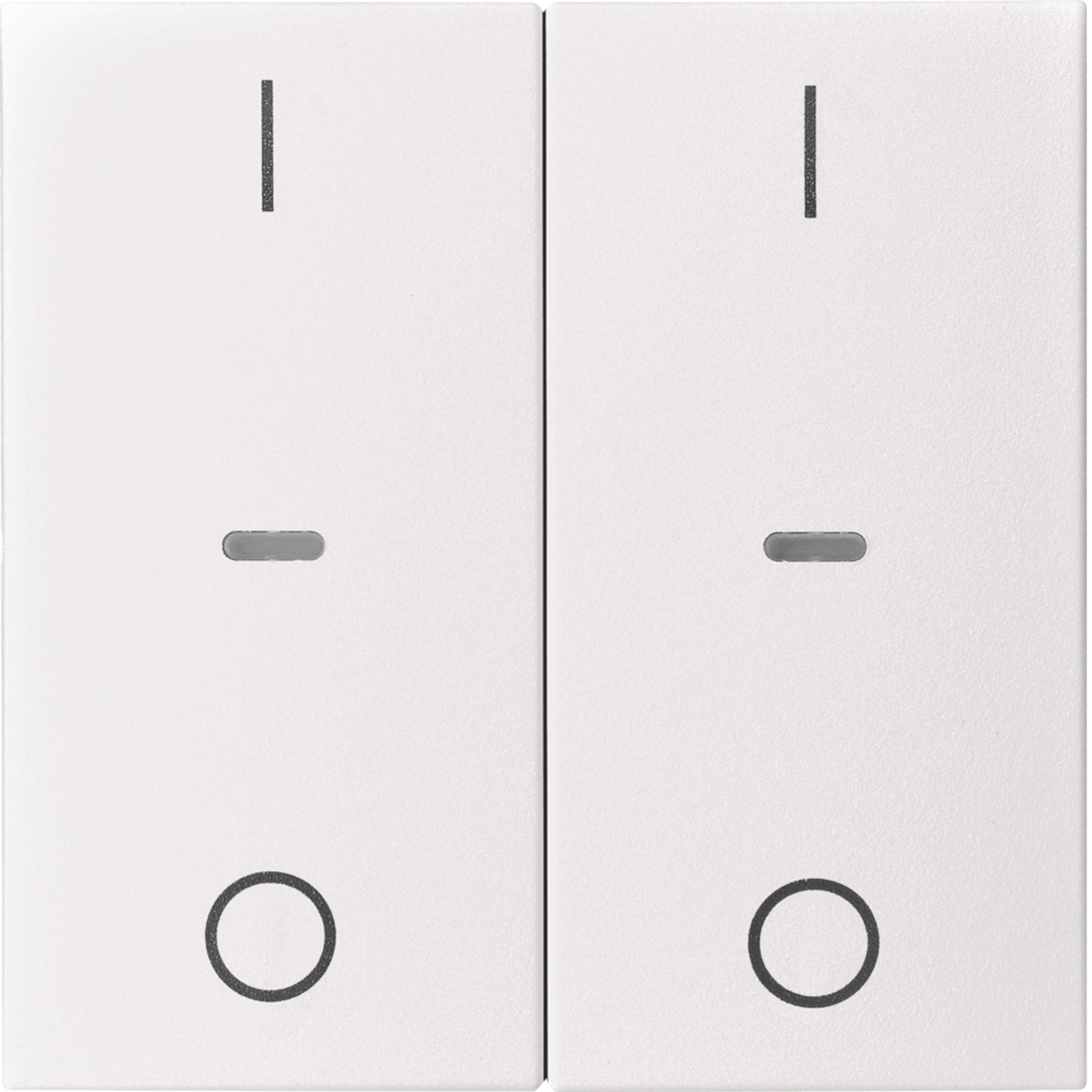 Abdeckung für Tastsensor-Modul 2fach mit I/O-Symbol S.1/B.x polarweiß matt