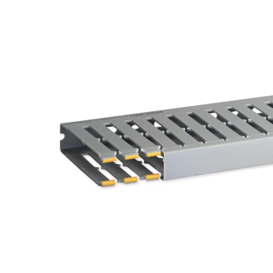 B02564 - Goulotte de câblage au pas de 20 T1-n 25x100 grise
