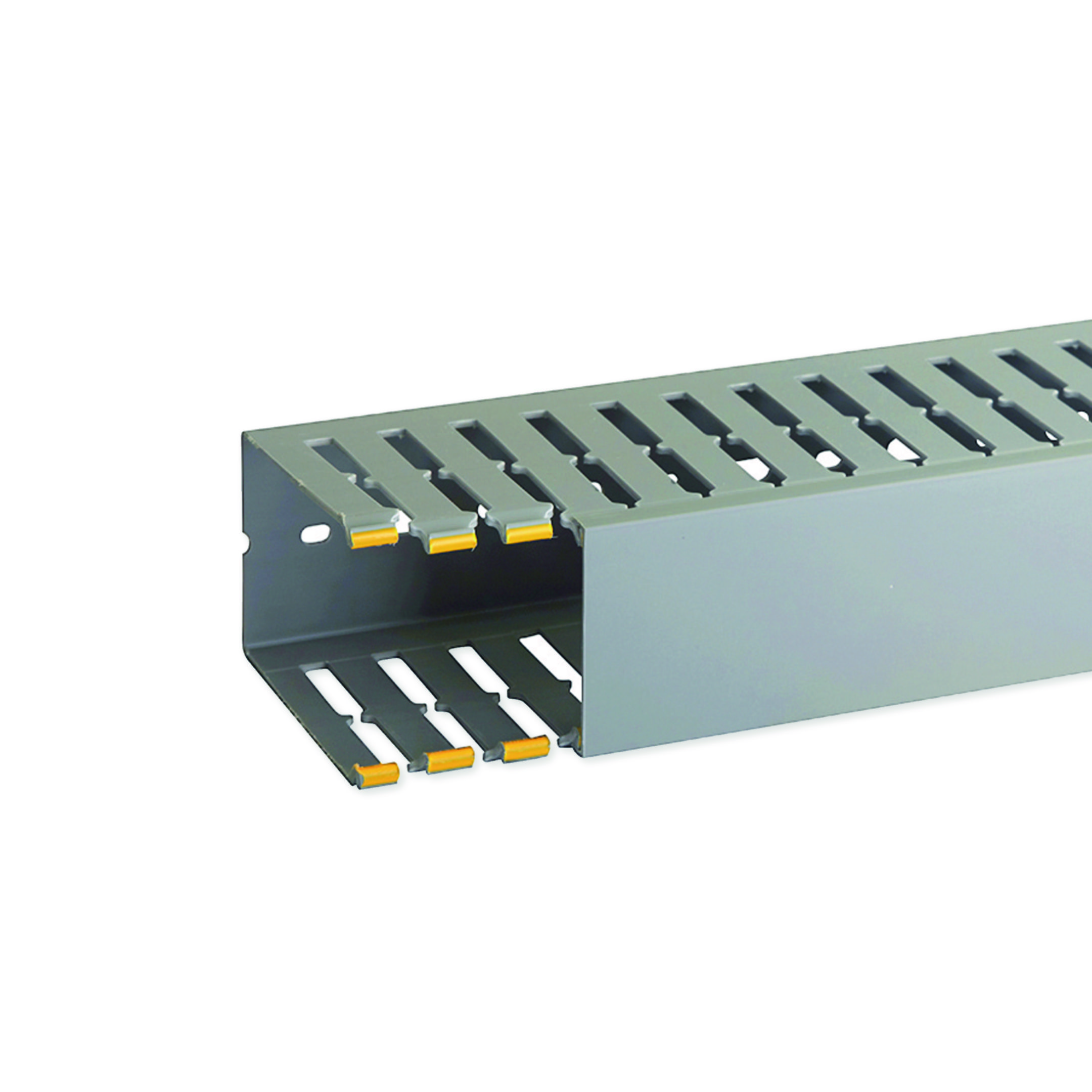 T1-N 60X100 G CAN. CABL.