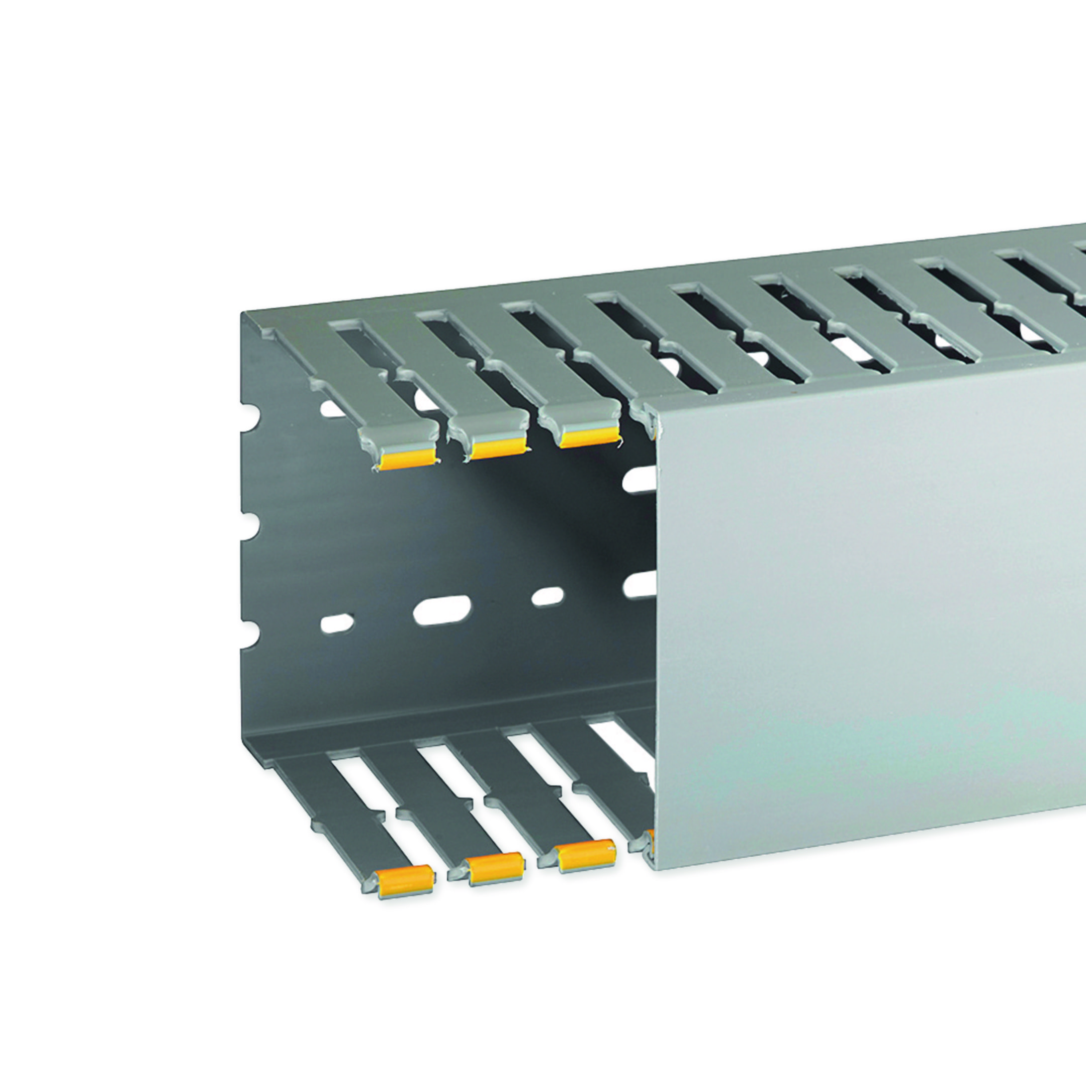 T1-N 100X100 G CAN. CABL.