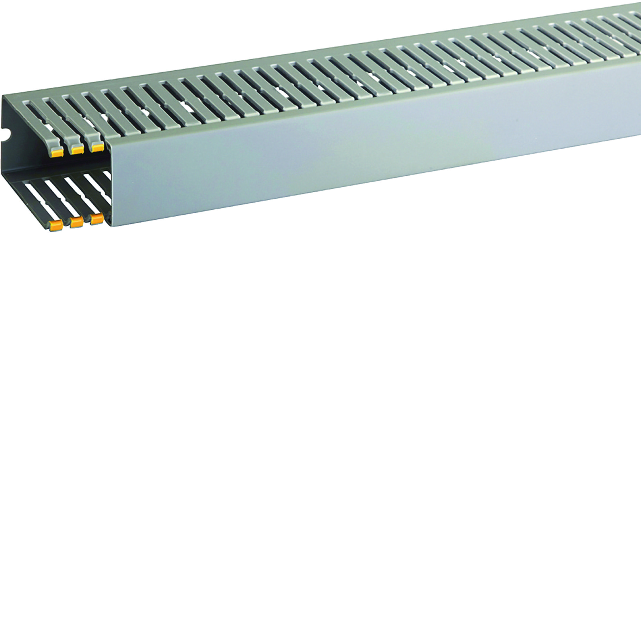 T1-EN 40X80 G CAN. CABL.