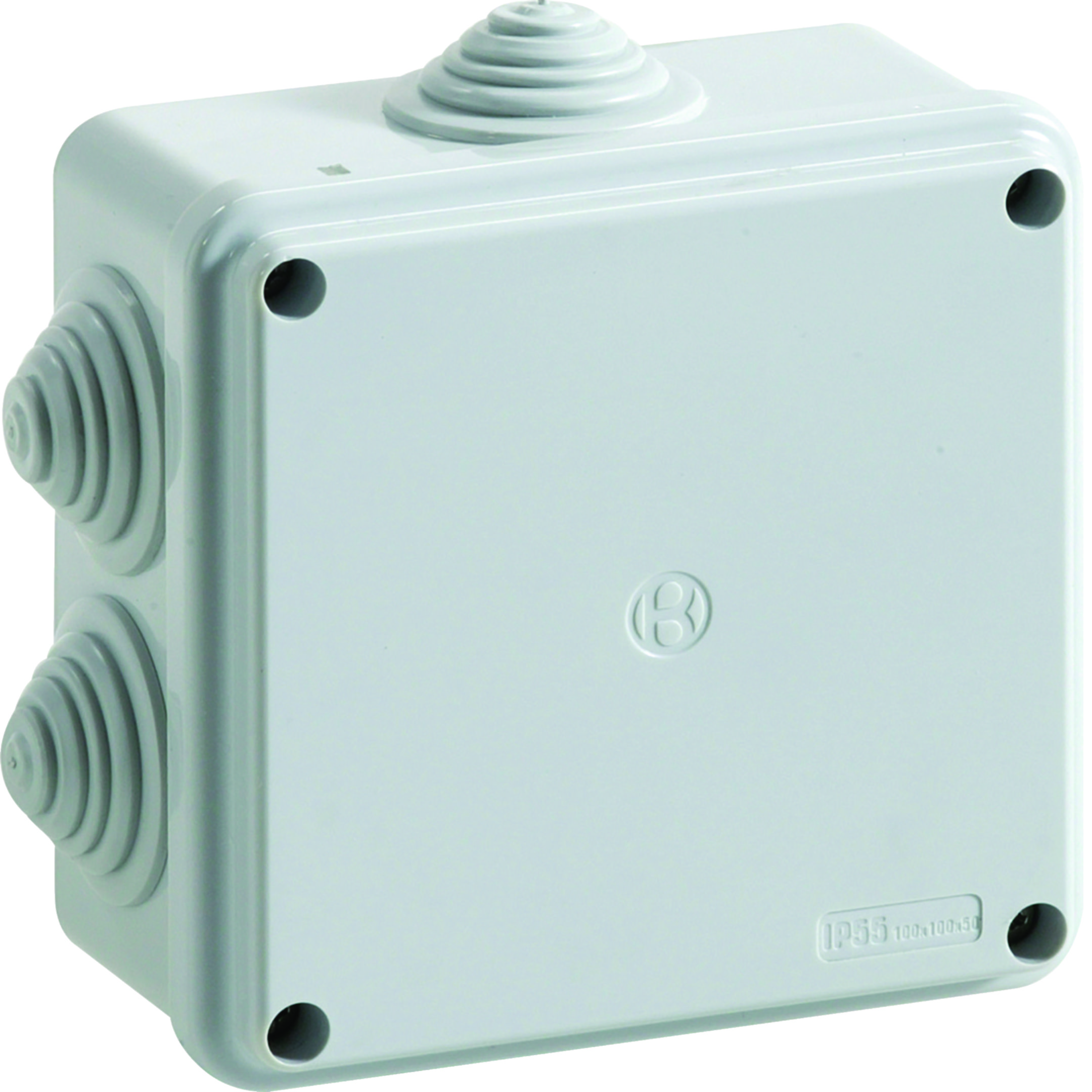 IP55 01 VM CAS.PAR. 100X100X50