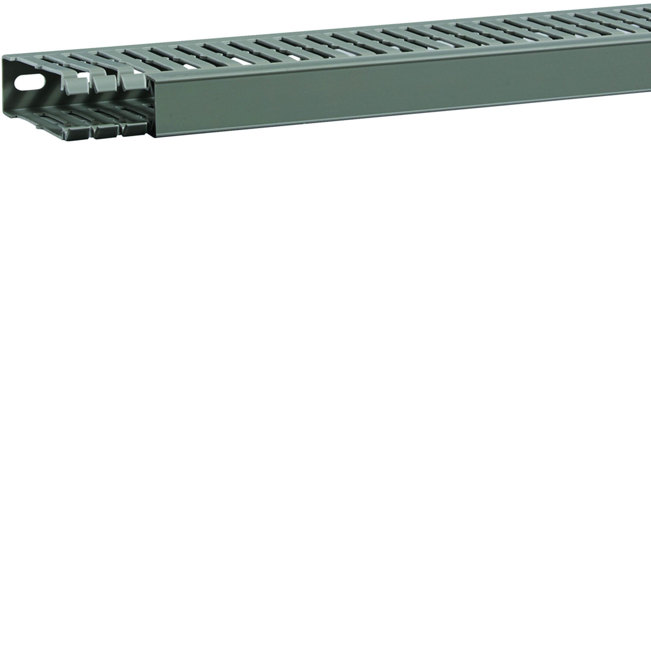 CANALETTA CABLAGGIO PVC B25XH80