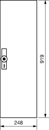 FZ191W - Sondertür, univers, voll, rechts, RAL 9010, für Schrank IP54, 950x300mm