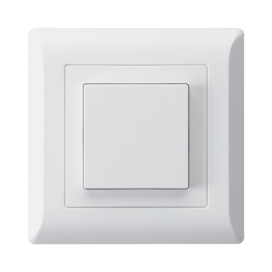 Image de la catégorie