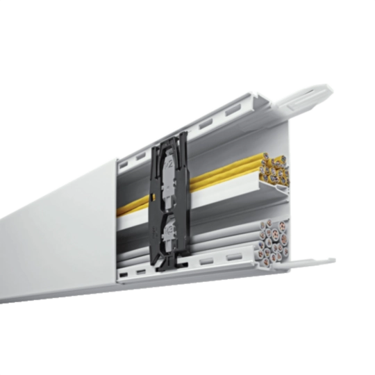 Image de la catégorie