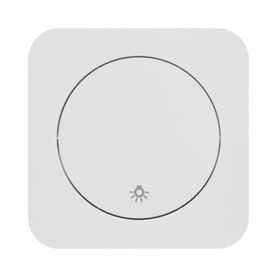 Dimmer - Berker R.1 Berker R.1 | Hager DE