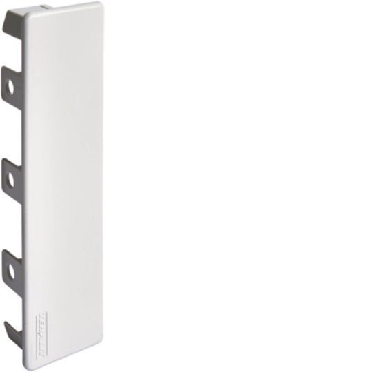 M54237035 - Endstück aus PVC zu Leitungsführungskanal LF 40x150mm lichtgrau