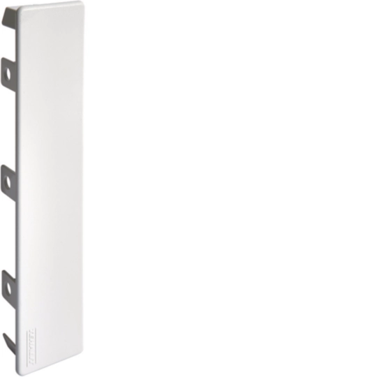 M54337035 - Endstück aus PVC zu Leitungsführungskanal LF 40x190mm lichtgrau