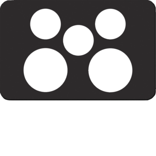 WBSCP2X-MB - Silhouette 2G socket + switch cover MB