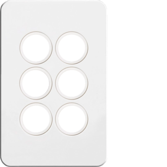 WBSSP6 - Silhouette 6G switch plate, no mech