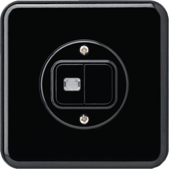 WH11100305C - UP-Leuchtdruckschalter basico 1/3+3/1L schwarz 1 Linse