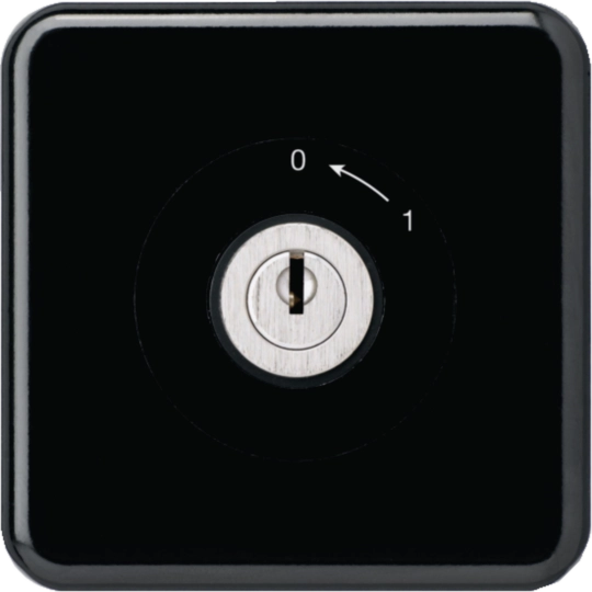 WH11184705C - Contact pivotant à clé ENC basico 1L noir avec cylindre KABA 8