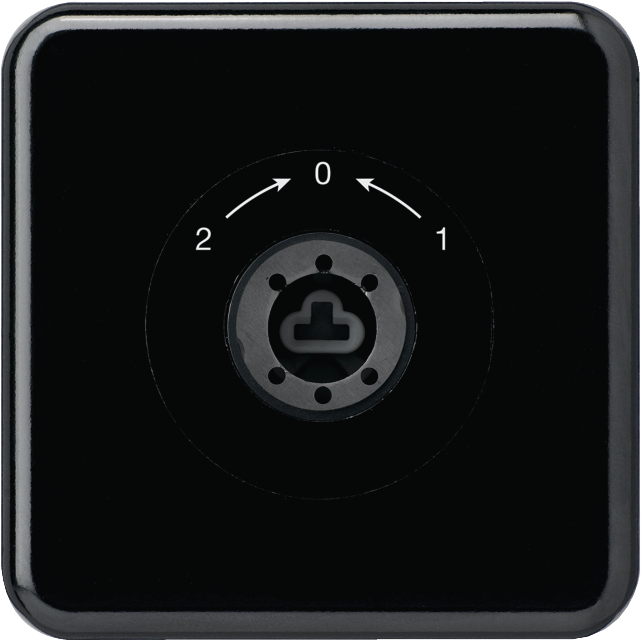 WH11186905C - Contact pivotant à clé ENC basico 1L noir sans cylindre 2-0-1
