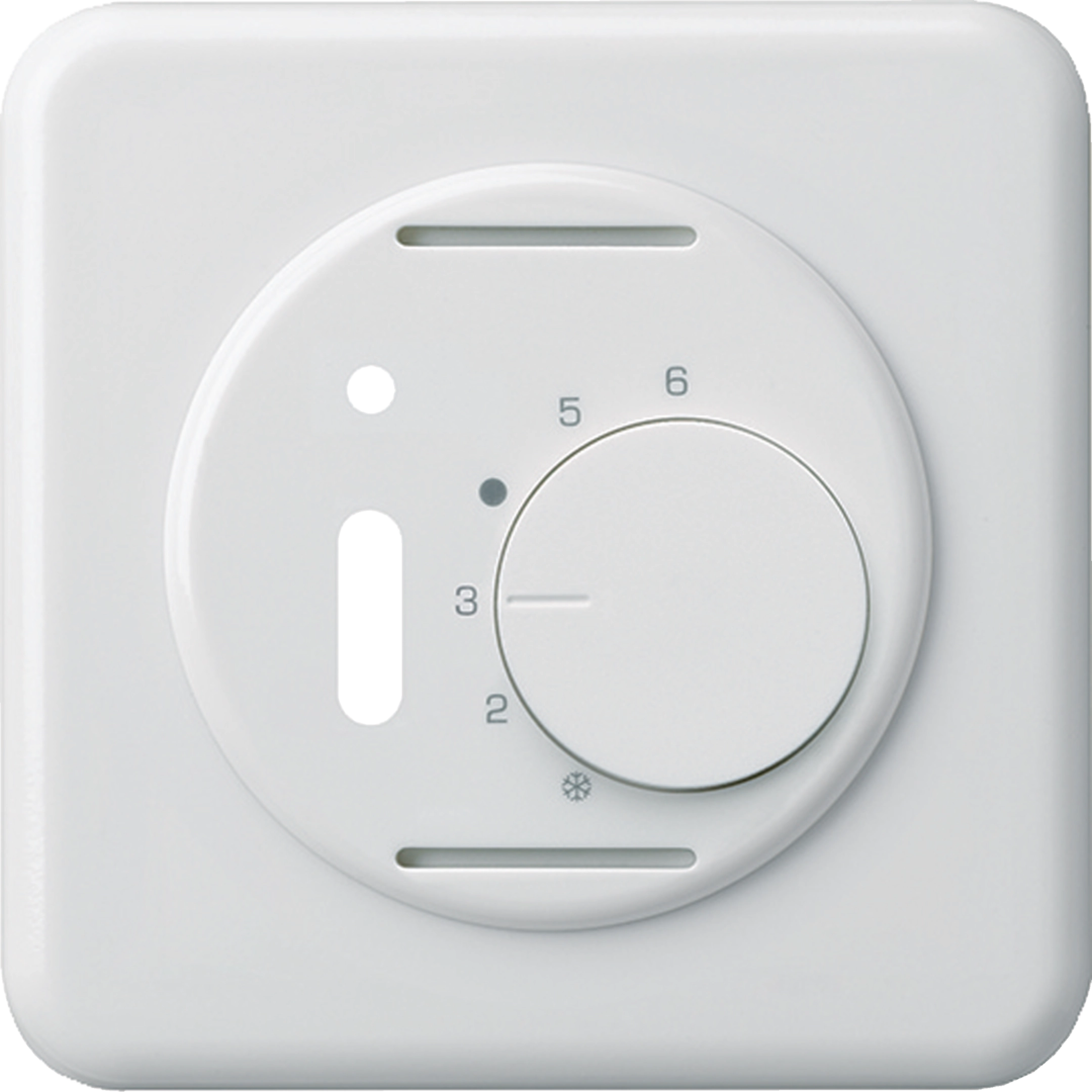 WH11440500G - UP-Frontset basico weiss für Raumthermostat mit Schalter
