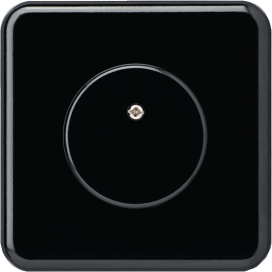 WH11920305C - UP-Blindabdeckung basico Ø43mm schwarz