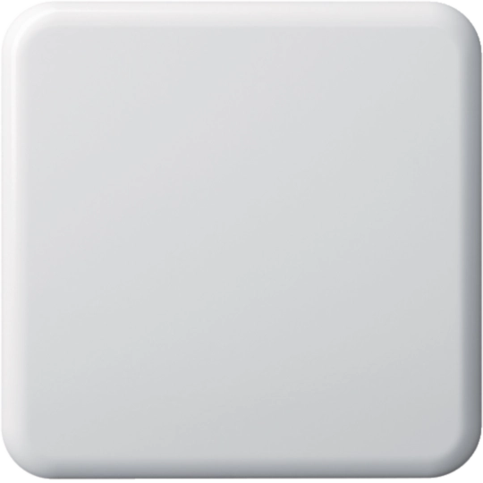 WH11920500G - Plaque de recouvrement basico 1×1 sans alésage blanc