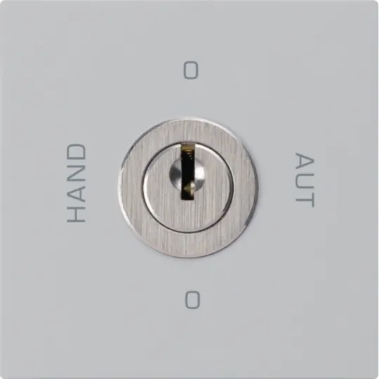 WH20185003A - Intérieur interrupteur à clé 0-Hand-0-Aut. kallysto 2/1L gris clair avec serrure