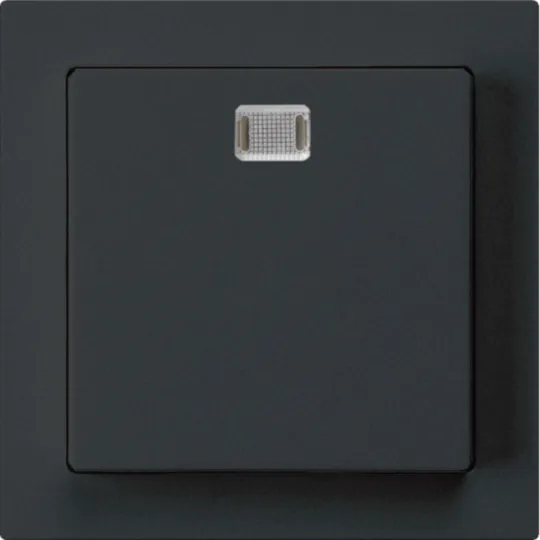 WH20242105H - Frontset kallysto 60×60 schwarz für Oekoswitch