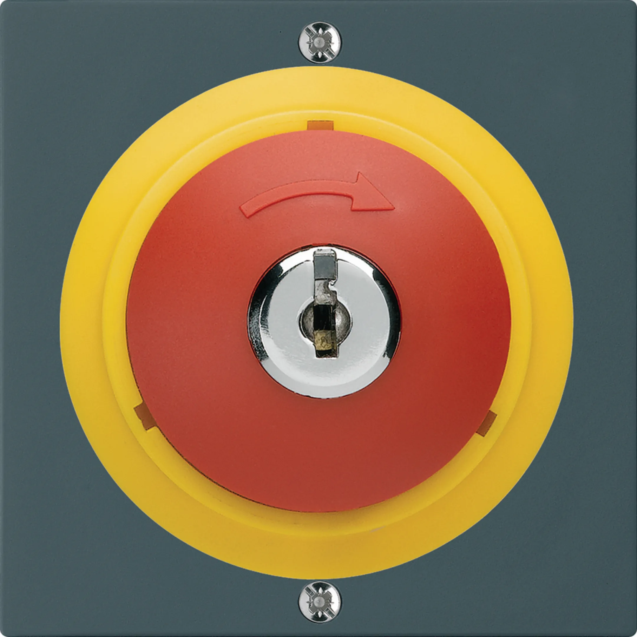 WH20390304A - Contact pivotant à clé kallysto ARRÊT D&#039;URGENCE anthracite