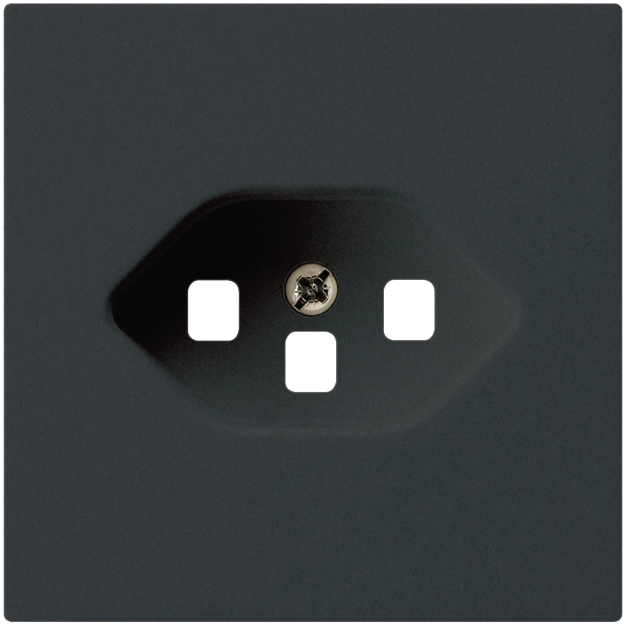 WH20585305H - Frontplatte kallysto T23 schwarz 60×60 für Steckdose mit Steckklemme