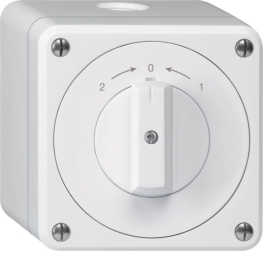 WH36180900Q - AP-Schwenktaster robusto IP55 weiss Wechsler