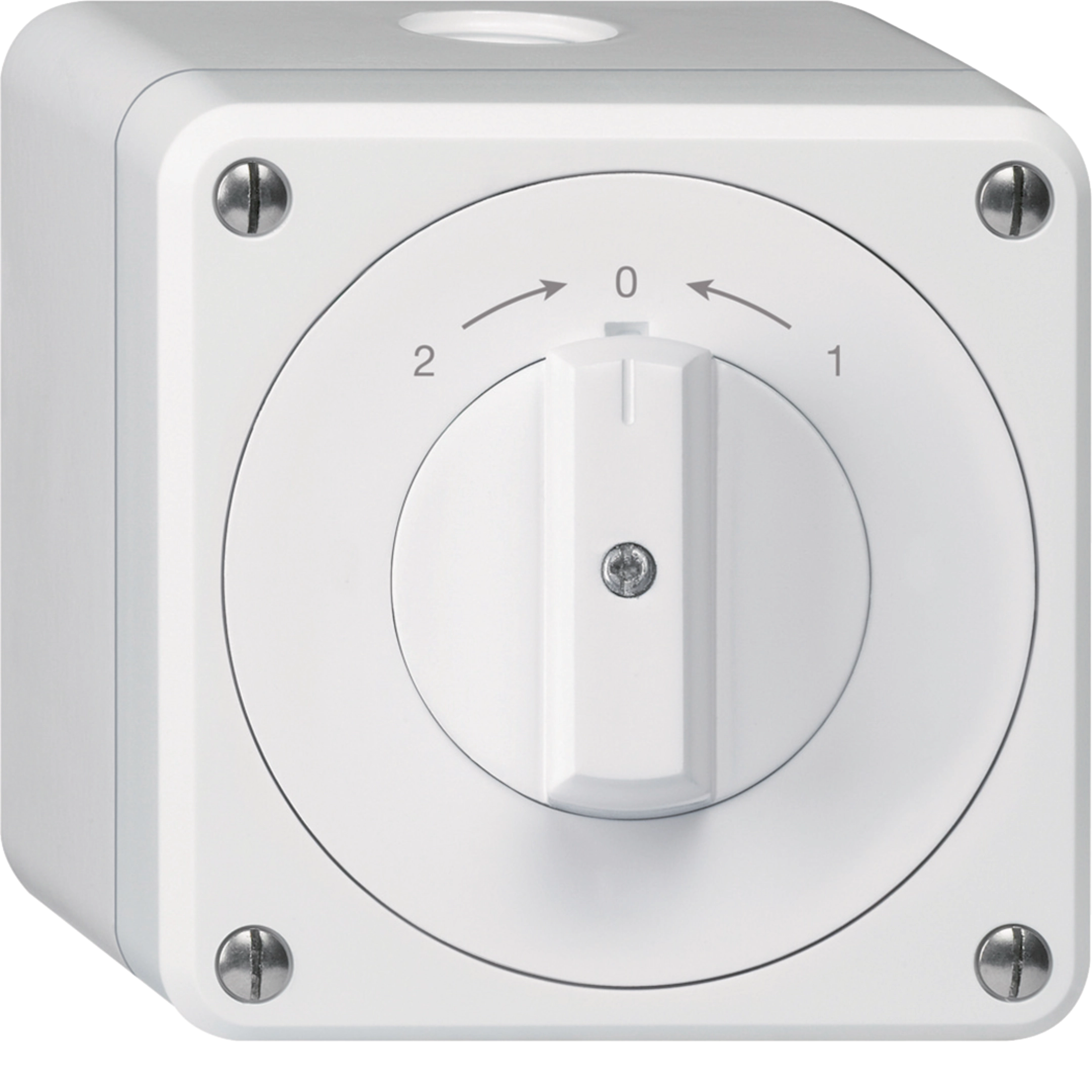 WH36180900Q - AP-Schwenktaster robusto IP55 weiss Wechsler