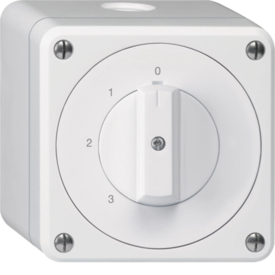 WH36181200Q - Interrupteur rotatif AP robusto IP55 schéma 5/1P blanc