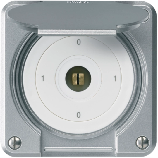 WH36182149A - Interrupteur à clé carrée ENC robusto IP55 avec clapet S0/1P aluminium combi