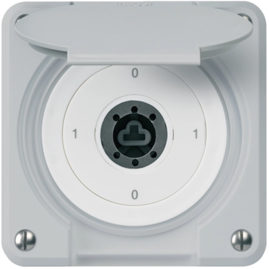 WH36186203C - Interrupteur à clé ENC robusto IP55 avec clapet sans cylindre S0/2P gris