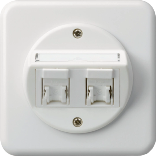 WH41290200C - UP-Einsatz basico C Kat.5e 2×RJ45/u Schrägauslass weiss
