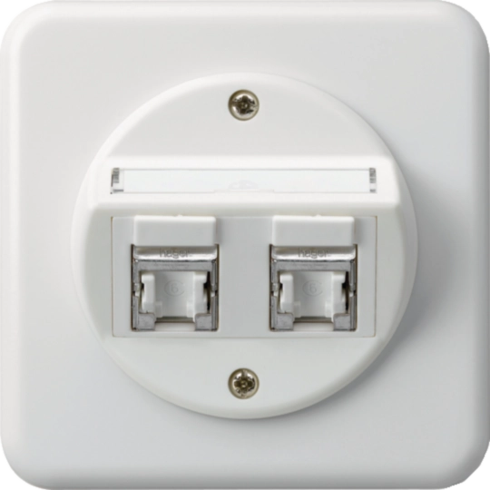 WH41300200C - UP-Einsatz basico C Kat.6 2×RJ45/s Schrägauslass weiss
