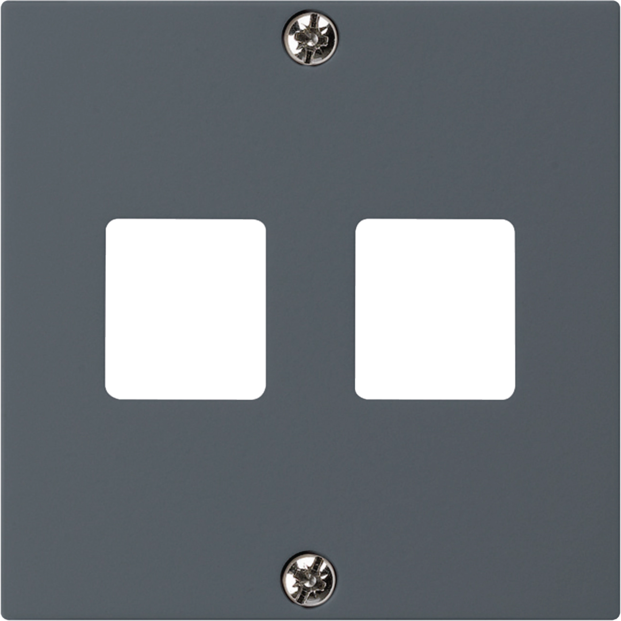 WH50300404H - Plaque frontale HMS kallysto pour 2 modules anthracite