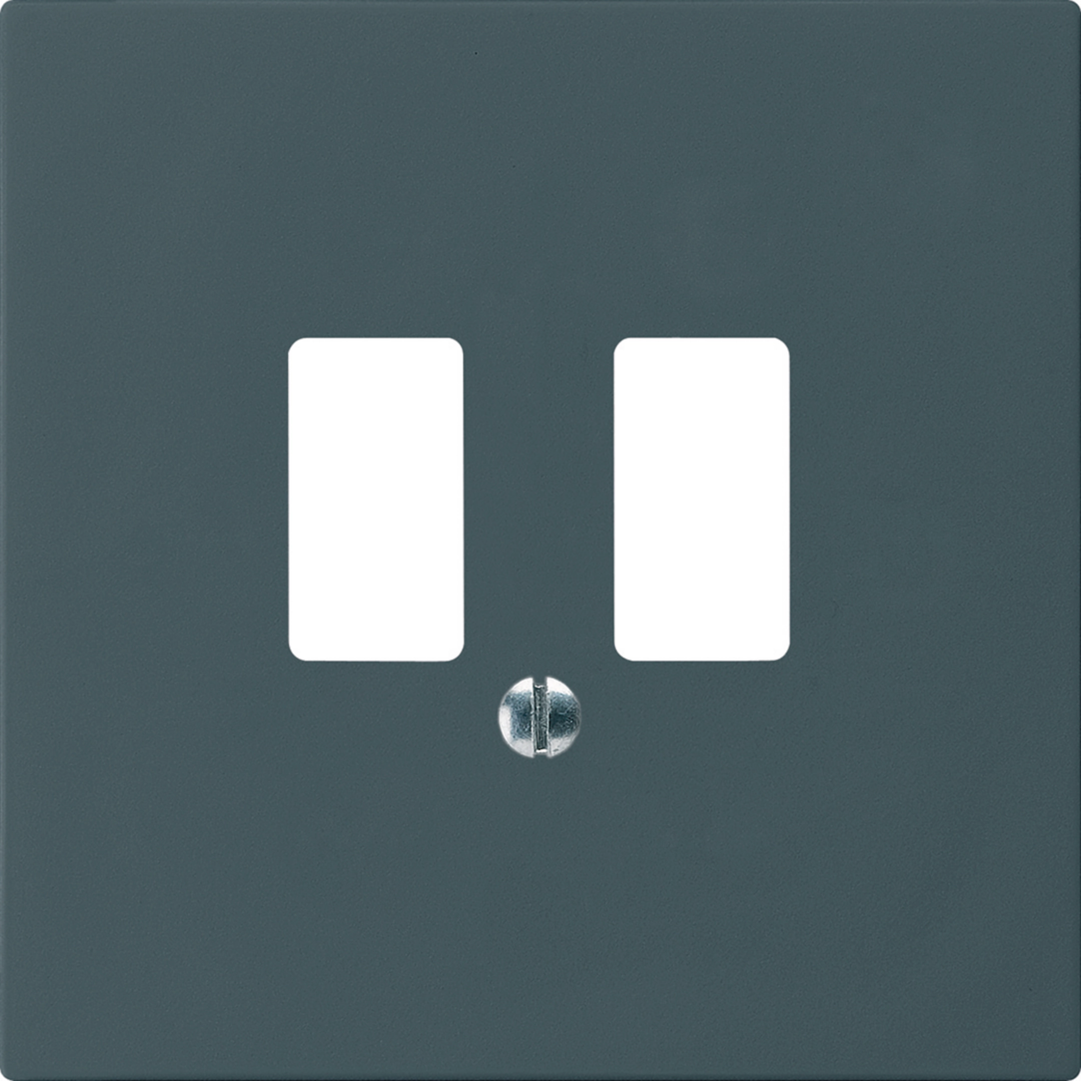 WH50820104H - Frontplatte kallysto für USB-Steckdose anthrazit
