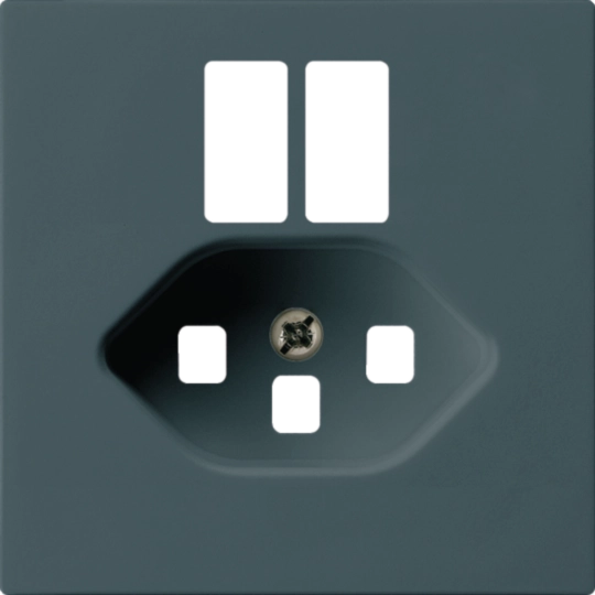 WH50820404H - Plaque frontale kallysto pour prise 2×USB & T23 anthracite