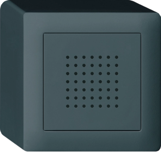 WH53830104Q - Carillon AP kallysto 230V anthracite