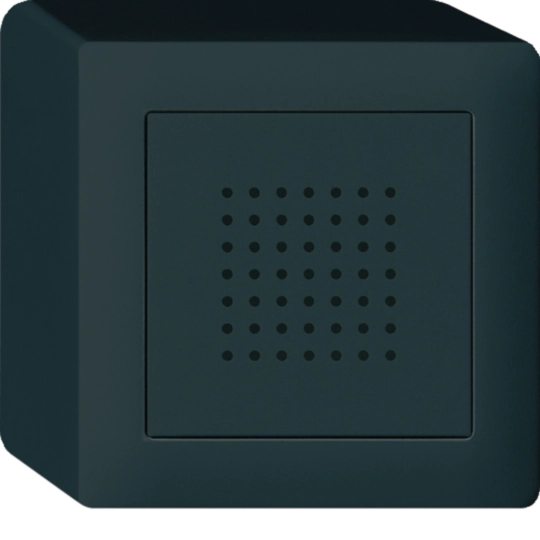 WH53830105Q - AP-Türgong kallysto 230V schwarz